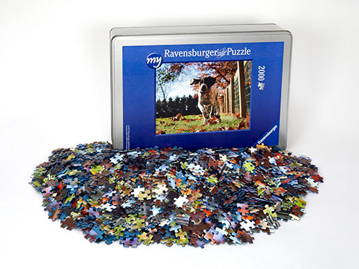 Fotopuzzel 2000 stukjes metallbox met puzzelstukjes